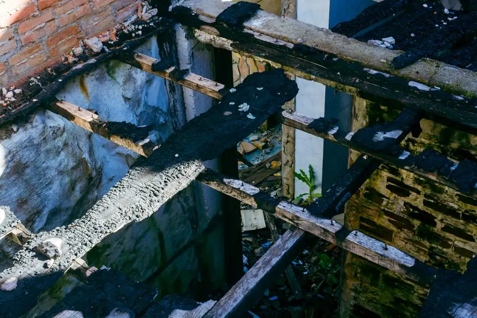 How to identify signs of water damage in your basement