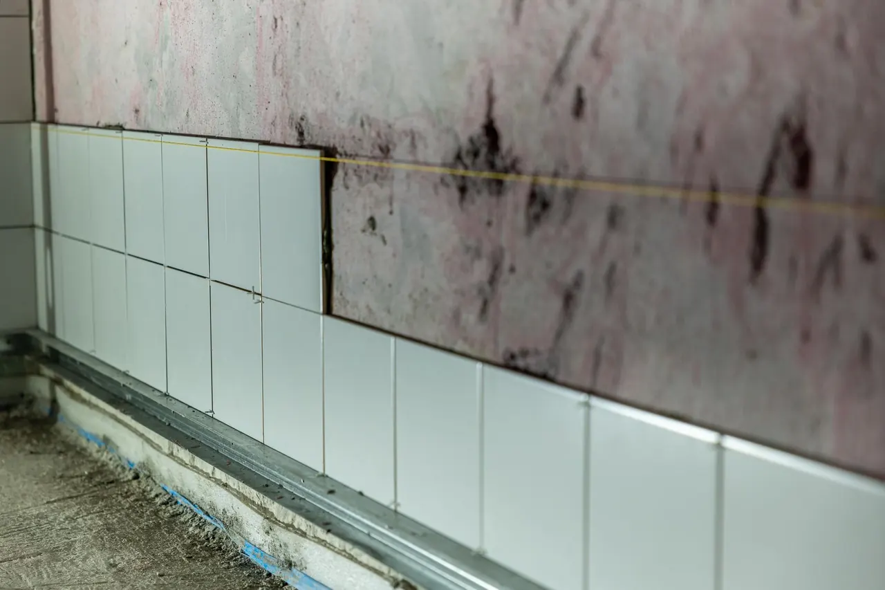 Water Damage Inspection and Assessment