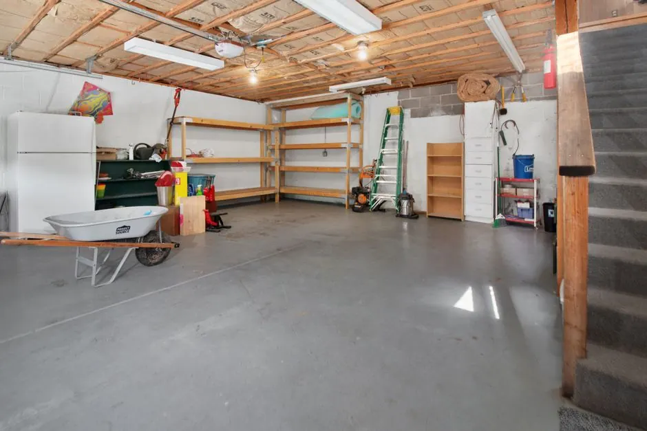 What is the best method for mold remediation in basements?