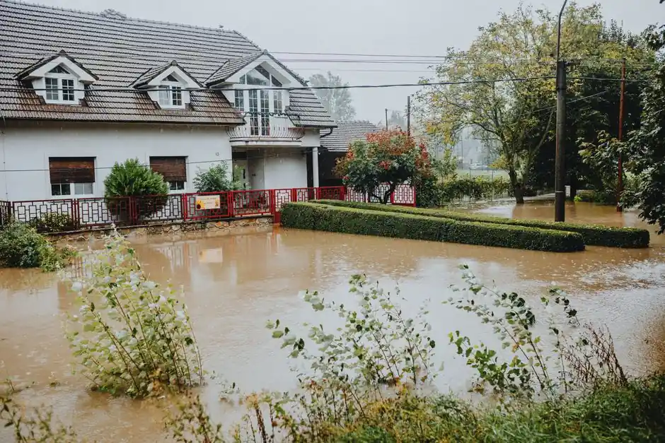What to check for before hiring a water damage restoration service in Appleton